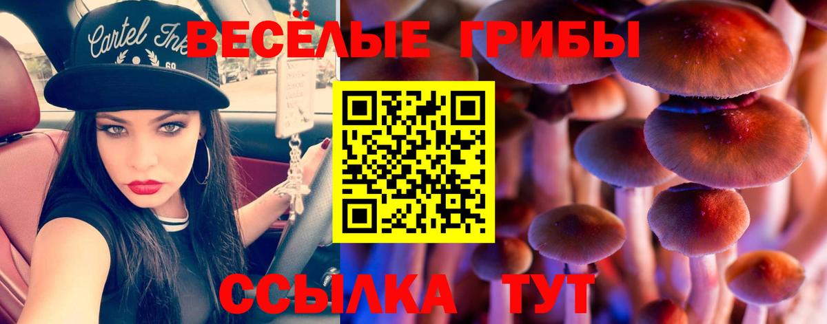 Нефтеюганск  Галлюциногенные грибы GOLDEN TEACHER  Галлюциногенные грибы мухоморы  Вход с VPN 